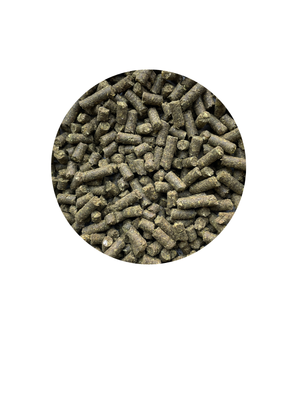 ATCOM BRONCHI-RAPID