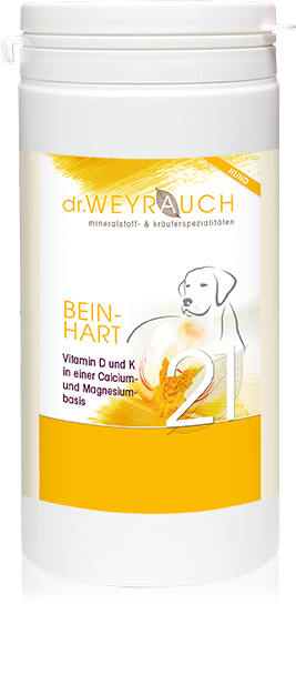 Nr. 21 Beinhart für Hunde