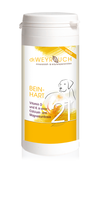 Nr. 21 Beinhart für Hunde