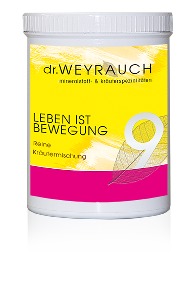 Nr. 9 Leben ist Bewegung