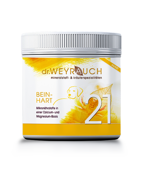 Nr. 21 Beinhart für Hunde