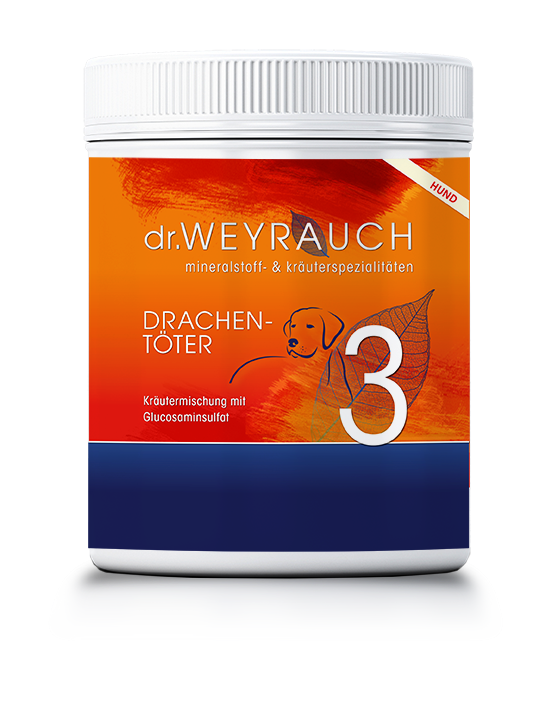 Nr. 3 Drachentöter für Hunde