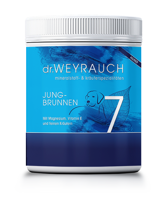 Nr. 7 Jungbrunnen für Hunde