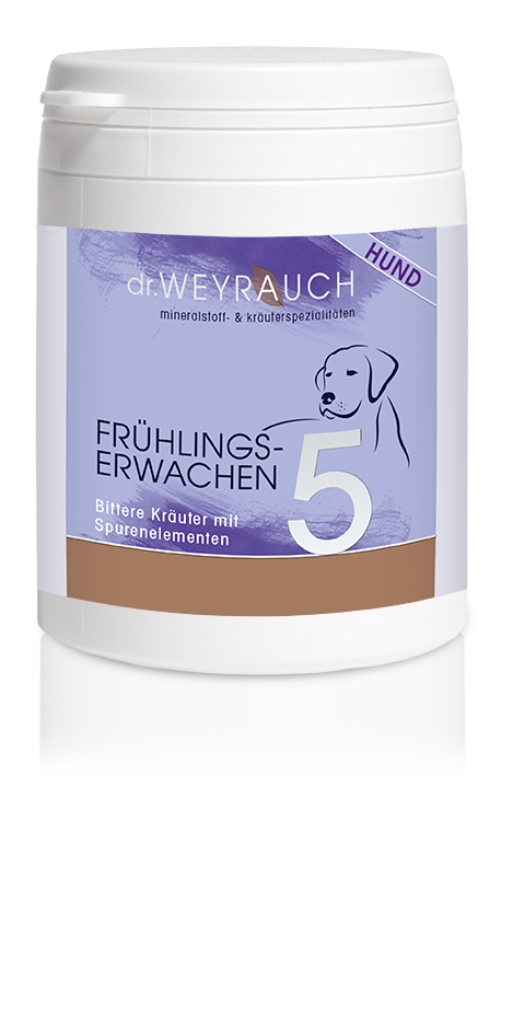 Nr. 5 Frühlingserwachen für Hunde