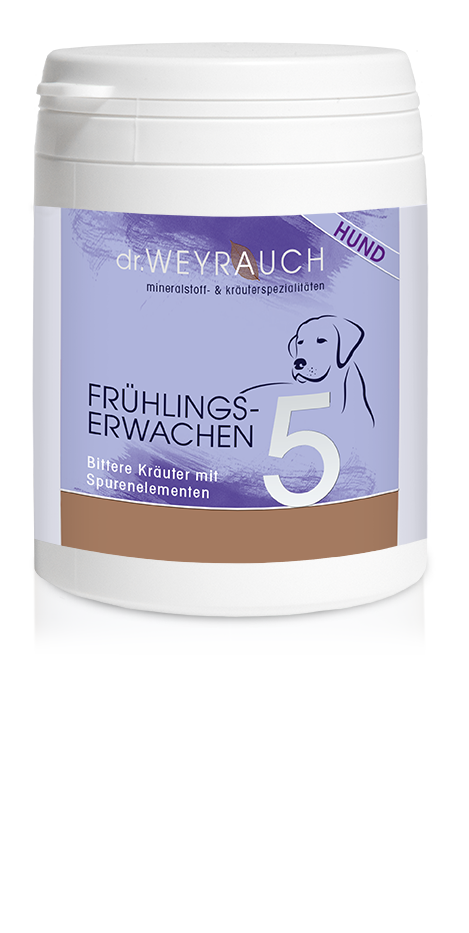 Nr. 5 Frühlingserwachen für Hunde