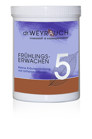 Nr. 5 Frühlingserwachen
