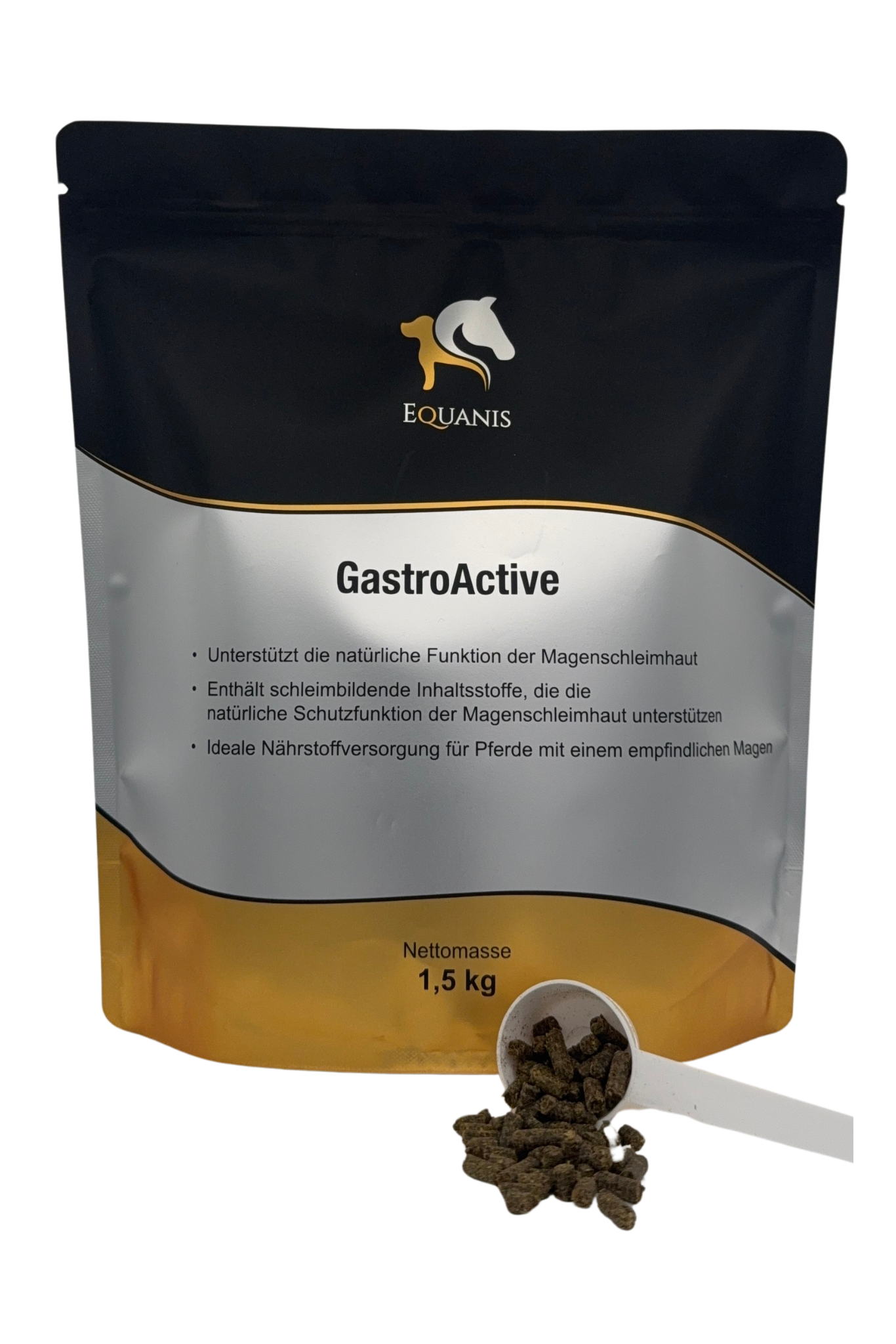 GastroActive