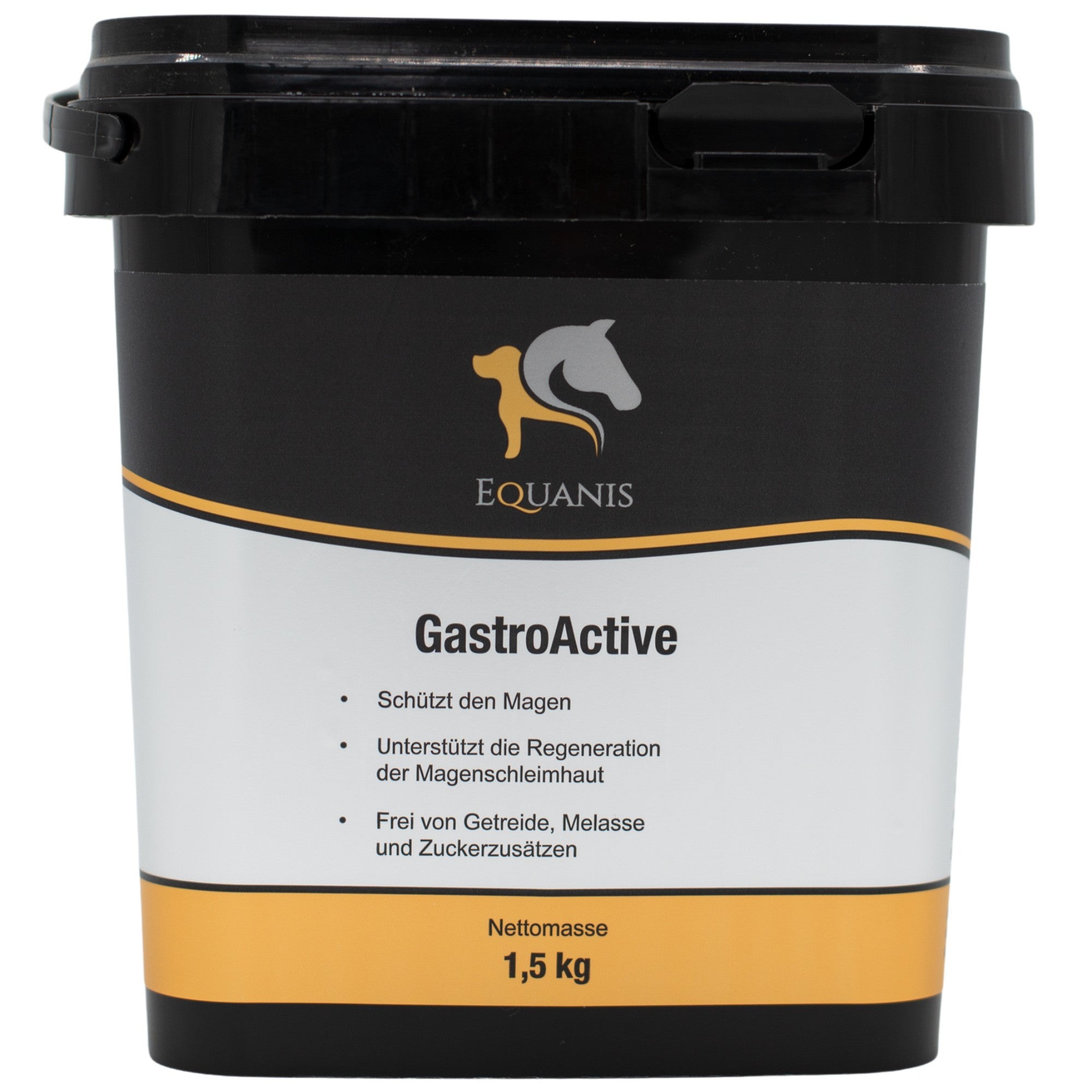 GastroActive