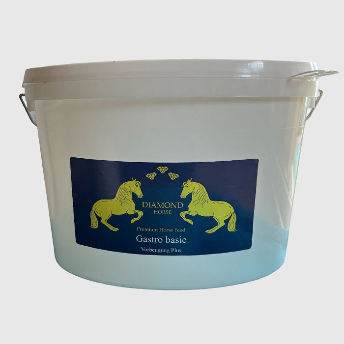 Gastro Basic – Vorbeugung Plus