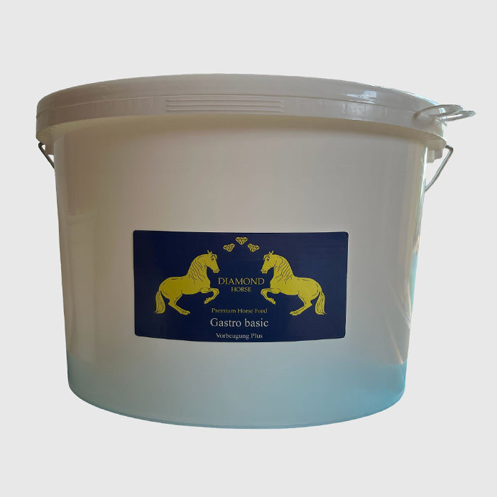 Gastro Basic – Vorbeugung Plus