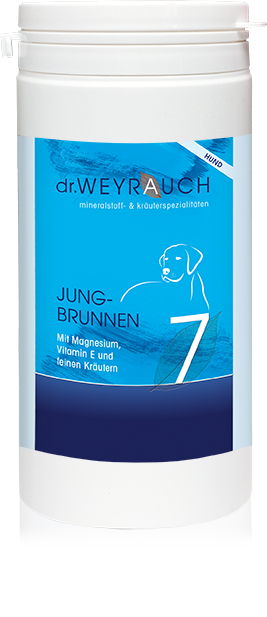 Nr. 7 Jungbrunnen für Hunde