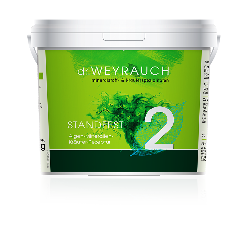 Nr. 2 Standfest