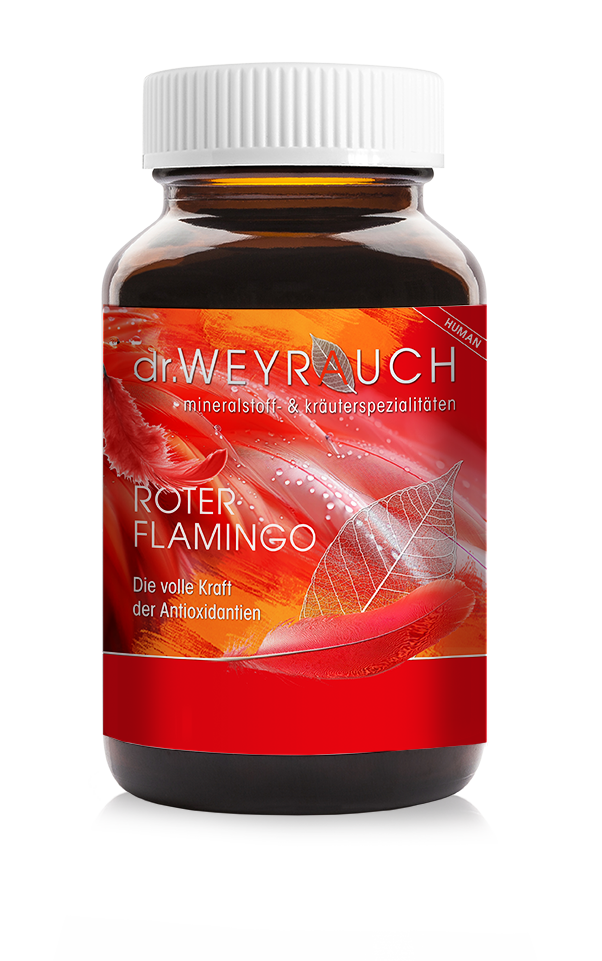 Nr. 40 Roter Flamingo
