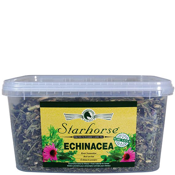 Echinacea