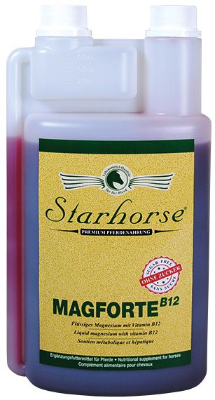 Magforte B12
