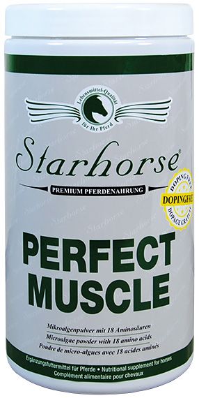 Perfect Muscle