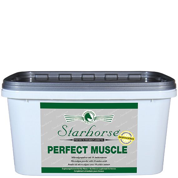 Perfect Muscle