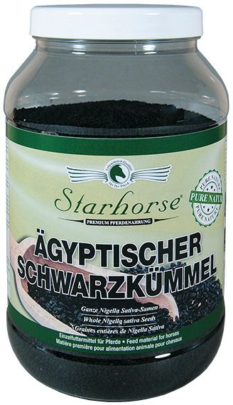 Ägyptischer Schwarzkümmel